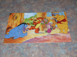 75306-          DISNEY, WINNIE THE POOH / UNUSED - Disneyworld