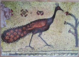 MUSEUM CHURCH MOSAIC FLOOR TABGHA TIBERIAS GALILEE LAKE BYZANTINE POSTCARD ISRAEL KARTE ANSICHTSKARTE CARD CARTE POSTALE - Israel