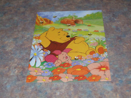 75308-           DISNEY, WINNIE THE POOH - Disneyworld