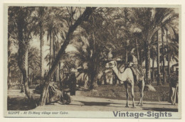 Egypt: El-Marg Village Near Cairo / Camel (Vintage PC 1910s/1920s) - Sonstige & Ohne Zuordnung