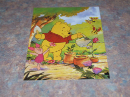 75313-           DISNEY, WINNIE THE POOH - Disneyworld