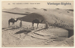 CAP 1122: Dunes De Sable / Camel - Desert (Vintage PC 1910s/1920s) - Sonstige & Ohne Zuordnung