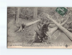 Bois De VINCENNES : Après E Terrible Cyclone De Juin 1908 - Très Bon état - Vincennes