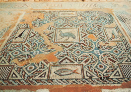CHYPRE - Chypre - Mosaique Curium - Limassol - Vue Générale - De L'intérieure - Carte Postale - Chipre