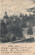 SINAIA   -   ROUMANIE  -  POSTCARD  1900  -  CASTELUL  PELES. - Rumänien