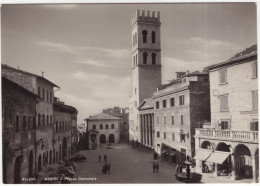 Assisi: FIAT 1100, 2x 500C GIARDINIERA, 1500 '37 - Piazza Comunale - (Italia) - Voitures De Tourisme