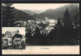 AK St. Blasien, Ortsansicht Mit Kuppel Und Wohnung Des Königlichen Grossherzogs  - St. Blasien