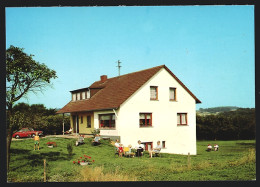 AK Brimingen /Kreis Bitburg, Hotel-Pension Café Lachergarten  - Bitburg