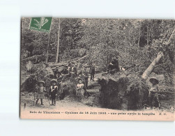 Bois De VINCENNES : Cyclone Du 16 Juin 1908, Vue Prise Après La Tempête - état - Vincennes