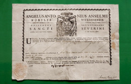 D-IT Bolla 1794 SAN SEVERINO MARCHE (Macerata) Vescovo Angelo Antonio Anselmi Nobile Di Viterbo 36x25,5 - Historische Documenten