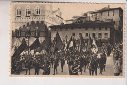 SIENA  IL CORTEO STORICO DEL PALIO  NO VG - Siena