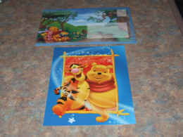 75321-             UNUSED CARD WITH ENVELOPE, DISNEY, WINNIE THE POOH - Disneyworld