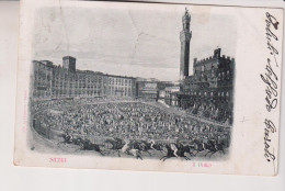 SIENA  IL  PALIO 1901 VG - Siena