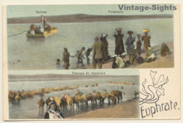 Syria: Euphrate - Radeau - Puiseuses / Camels (Vintage PC 1910s) - Sonstige & Ohne Zuordnung