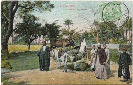 EGYPTE.  ALEXANDRIE. VUE DE SIDY GABER. CARTE ECRITE - Alexandrië