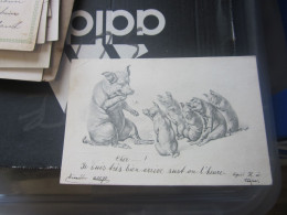 New Years Pigs  1903 Old Postcards - Nouvel An