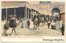 Constantinople - Istanbul: Murailles Terrestres De Stambul / Camels (Vintage PC 1900s) - Other & Unclassified