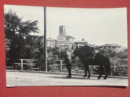 Cartolina - Ailoche ( Biella ) - Scorcio Panoramico 1950 Ca. - Biella