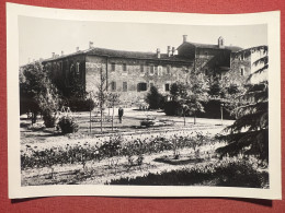 Cartolina - Castello D'Agogna ( Pavia ) - Il Castello 1950 Ca. - Pavia