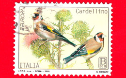 ITALIA - Usato - 2019 - Europa 2019 - Uccelli - Bird - Cardellino – B 50g - 2011-20: Usados