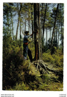 40 Dans Les Forêts De Gascogne N°157 Métier Le GEMMEUR VOIR DOS - Artigianato