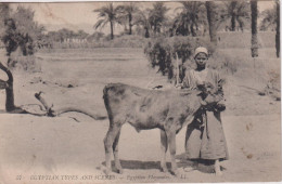 EGYPT - Egyptian Types And Scenes.  Egyptian Playmates. Bull & Child.  By LL 57 - Autres & Non Classés