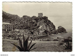 Corse Du Sud Golfe De PORTO N°619 VOIR DOS - Autres & Non Classés