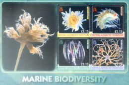 Biodiversità Marina 2010. - Altri & Non Classificati