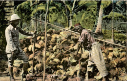 Singapore - Peeling Cocoanuts - 1907 - Singapour