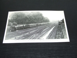 75343-             BW OFFENBURG VOR DEM RHEINGOLD - 1952  / TREIN / TRAIN / ZUG / TREN /  TRAM - Treni