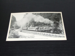75345-             AM HIRSCHSPRUNG  - 1934  / TREIN / TRAIN / ZUG / TREN /  TRAM - Treni