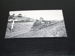 75348-            A NEW ZEALAND EXPRESS TRAIN IN 1923 / TREIN / TRAIN / ZUG / TREN /  TRAM - Eisenbahnen