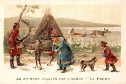 CHROMO LES ANIMAUX UTILISES PAR L'HOMME - LE RENNE - Other & Unclassified