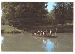 LA VENISE VERTE Transport De Vaches   (carte Photo Animée) - Otros & Sin Clasificación