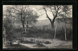 AK Kriegsgräber, Soldaten Bei Einer Trauerfeier  - War 1914-18