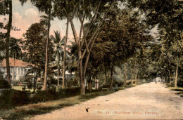 Maleisië - Malaya - Malaysia - Penang - 1910 - Sri Lanka (Ceylon)