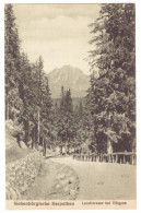 RO 89 - 21185 TULGHES, Harghita, Mountain, Romania - Old Postcard - Unused - Rumänien