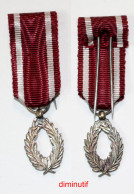 Médaille-BE-012A_di_ag_Ordre De La Couronne_Palmes D’Argent_poinçonné_diminutif_21-04-1 - Belgio