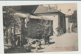 2418-347   Chiens Policiers Les Lilas Cyrano Et Marceau Dressage        Retrait Le 19-05 - Dogs