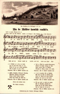 H1963 - Anton Günther Liedkarte - Wu Da Wälder Hamlich Rauschn ... - Gottesgab Sudentengau - Music And Musicians