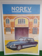 CITROEN DS CHAPRON GRISE - AFFICHE POSTER - Coches