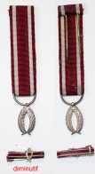 Médaille-BE-012A-di_Ordre De La Couronne_Palmes Argent_diminutif  Et Fixe Ruban De Rappel_21-05 - België