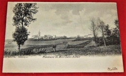 MONT SAINT AUBERT  -  Panorama - Tournai