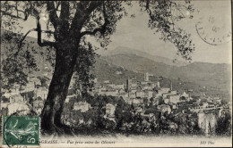Postkarte Grasse Alpes Maritimes, Blick Zwischen Olivenbäumen - Altri & Non Classificati