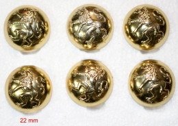 Militaria-BE-terre-boutons_22mm_lion Héraldique_6 Boutons_21-03 - Landmacht