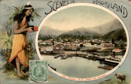 Nieuw Zeeland - New Zealand - Maoriland - Picton - 1905 - Nouvelle-Zélande