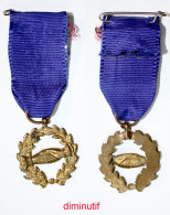 Médaille De Société-FR_02-di_société De Secours Mutuels_diminutif_20-29 - Profesionales / De Sociedad
