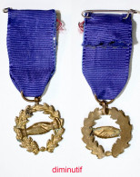 Médaille De Société-FR_02-di_société De Secours Mutuels_diminutif_20-29 - Professionnels / De Société