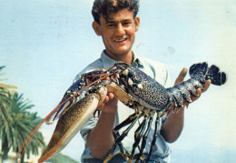 CORSE -  HOMARD - Publicité Pharmaceutique PLASMARINE - Docteur PASQUALINI -  ASNIERES - 1960 - Fish & Shellfish