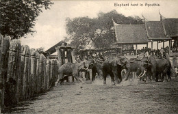 Thailand - Ayouthia - Elephant - 1910 - Tailandia